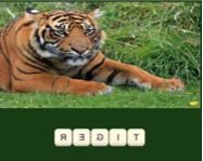 Zoo trivia HTML5 jtk